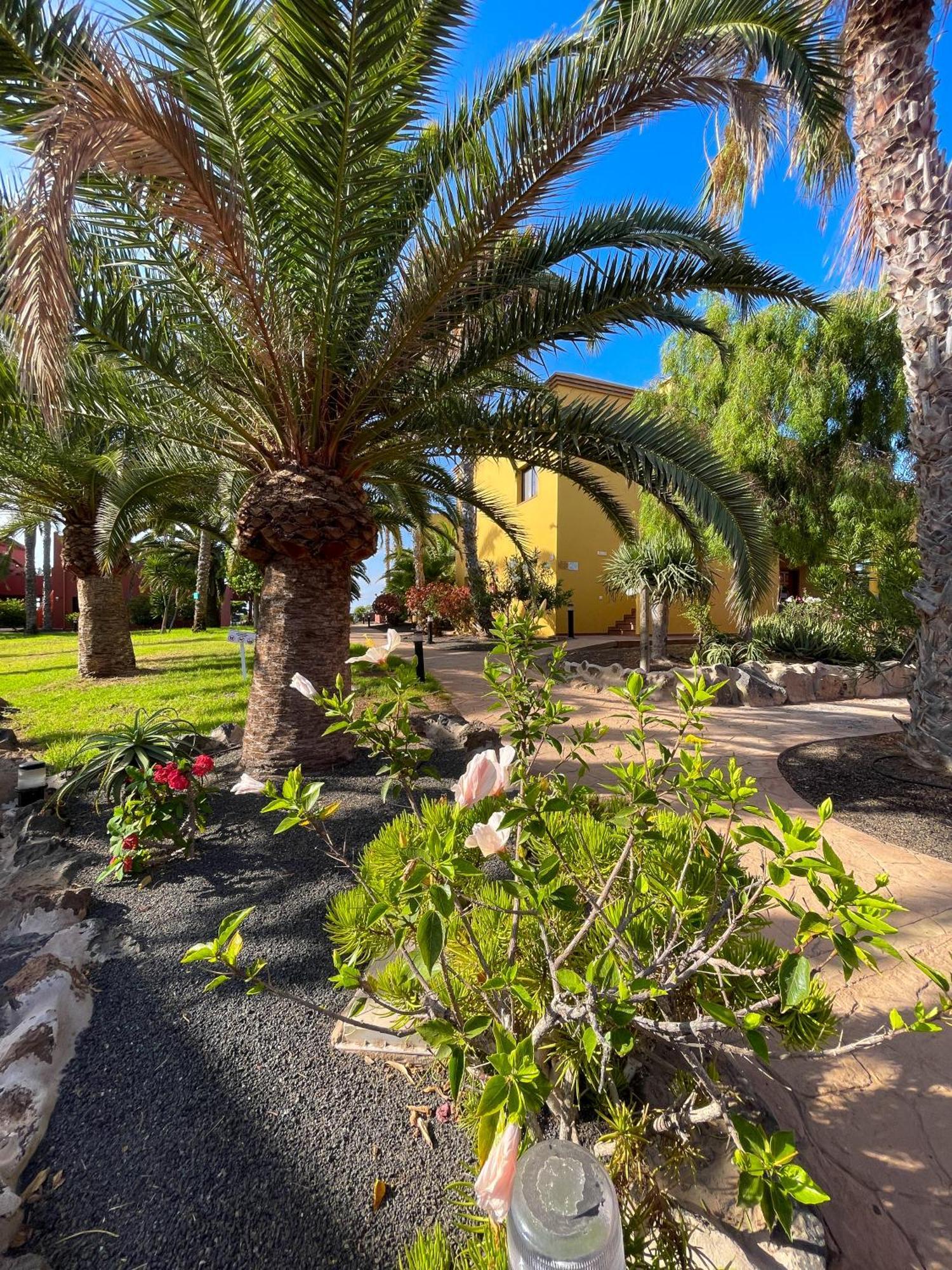 Karol Home By Best Holidays Fuerteventura كوراليهو المظهر الخارجي الصورة
